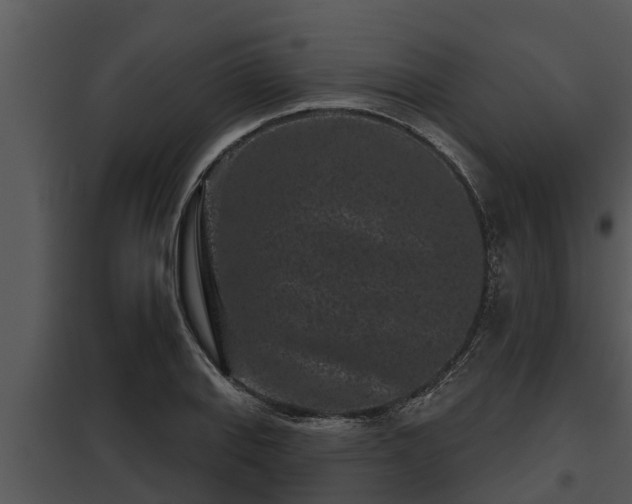 X0000097951127200804011628