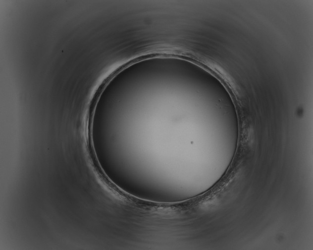 X0000097951128200804011628