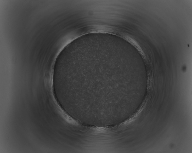 X0000097951130200804011628