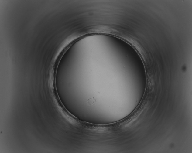X0000097951131200804011628