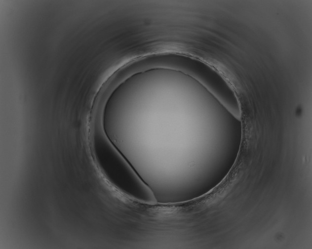 X0000097951134200804011628