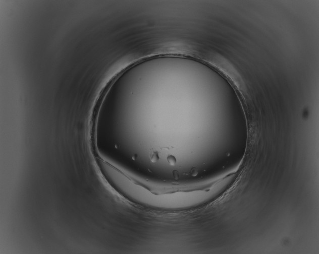 X0000097951135200804011628