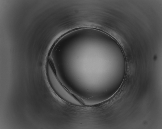 X0000097951136200804011628