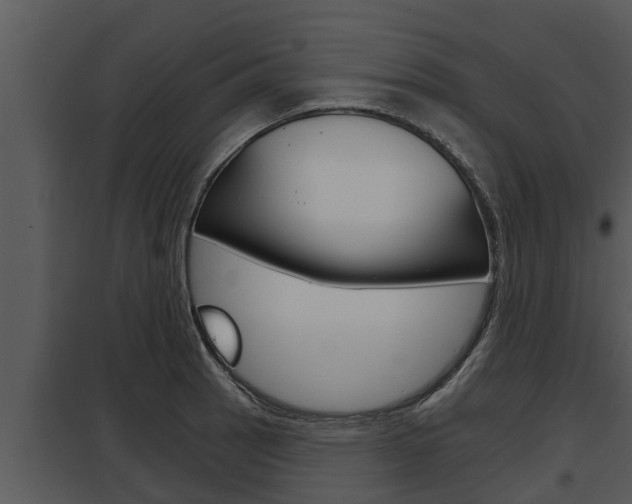 X0000097951137200804011628