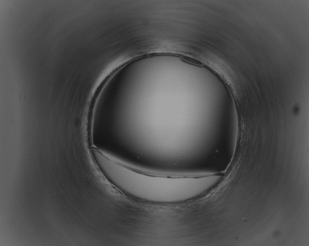X0000097951138200804011628