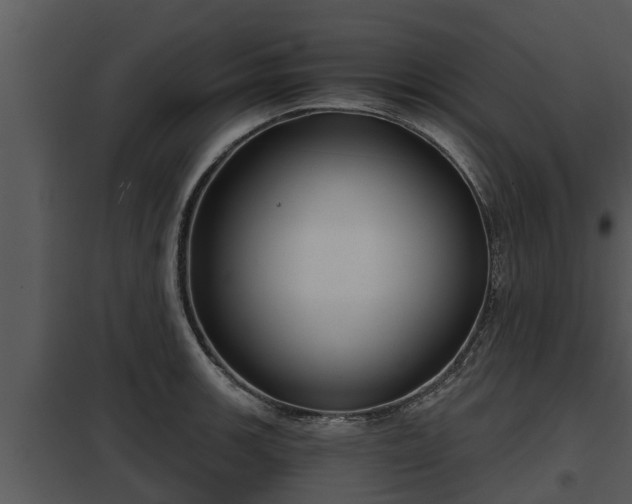 X0000097951139200804011628