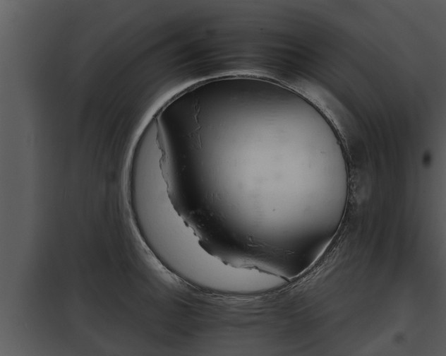 X0000097951140200804011628