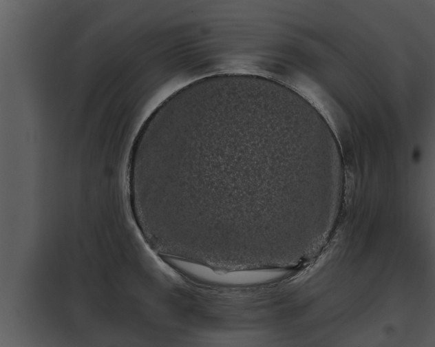X0000097951141200804011628