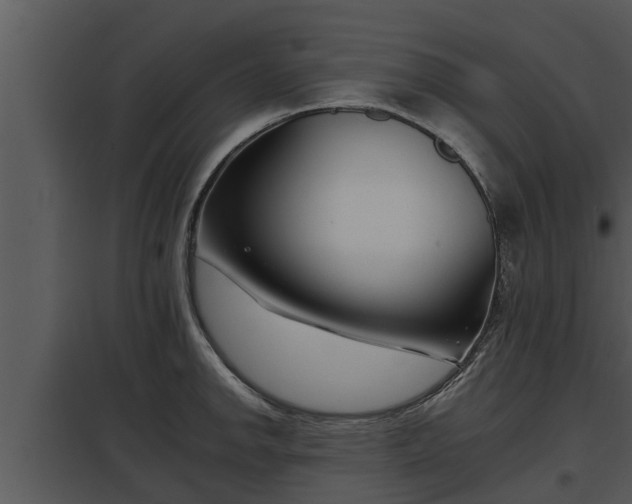 X0000097951142200804011628
