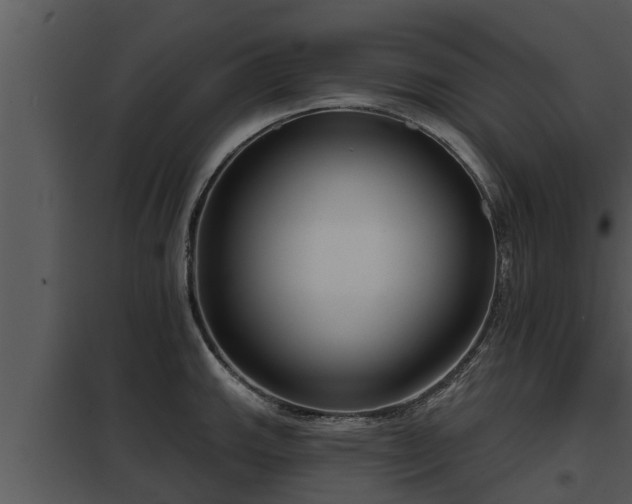 X0000097951143200804011629