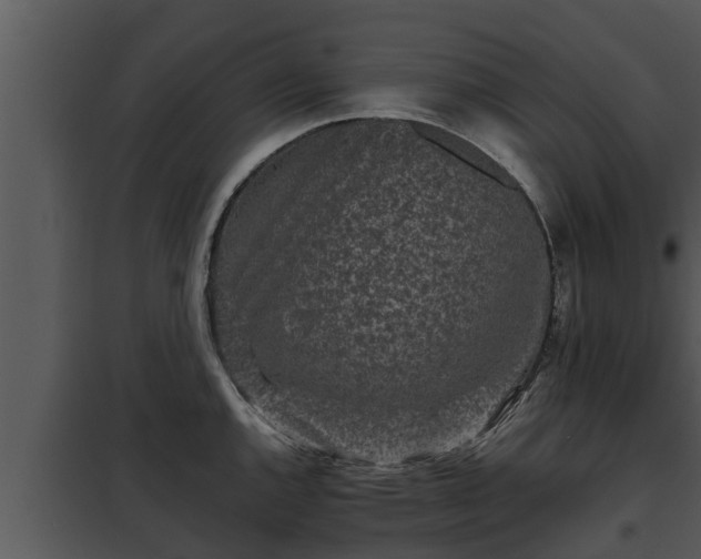 X0000097951144200804011629