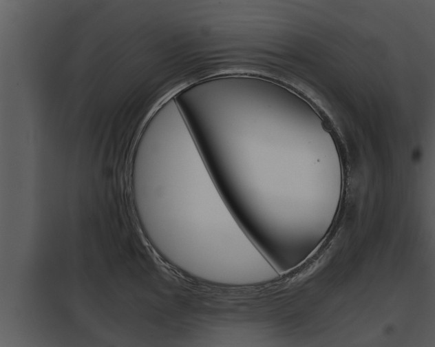 X0000097951145200804011629