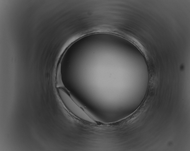 X0000097951146200804011629