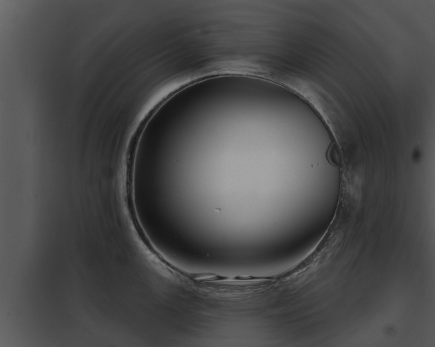 X0000097951147200804011629