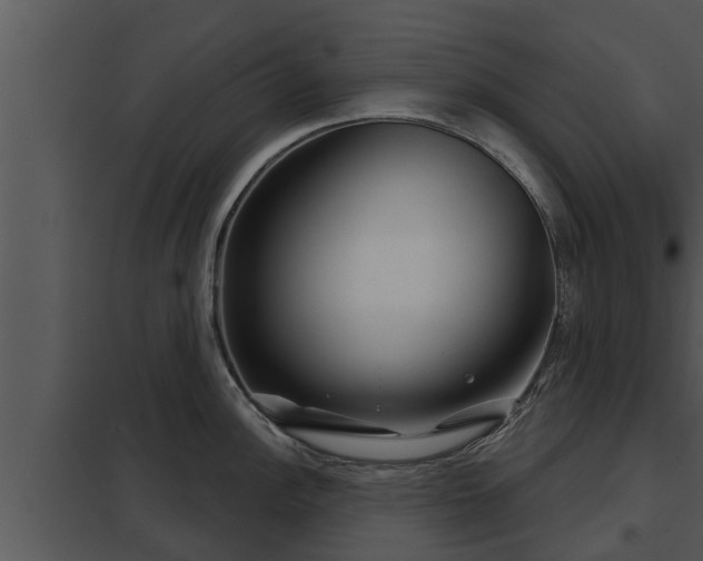 X0000097951148200804011629