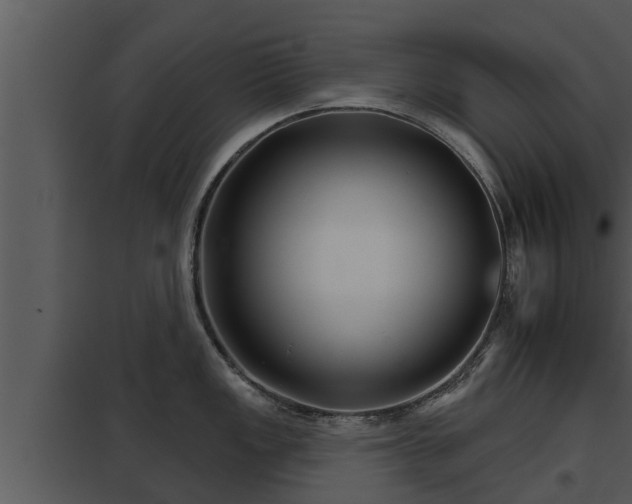 X0000097951149200804011629