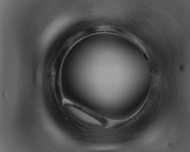 X0000097951151200804011629
