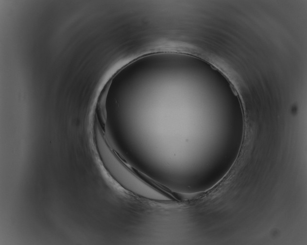 X0000097951152200804011629