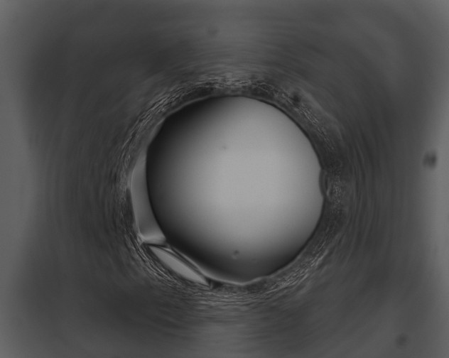 X0000097951153200804011628