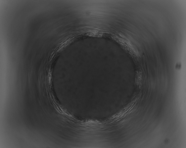 X0000097951154200804011628