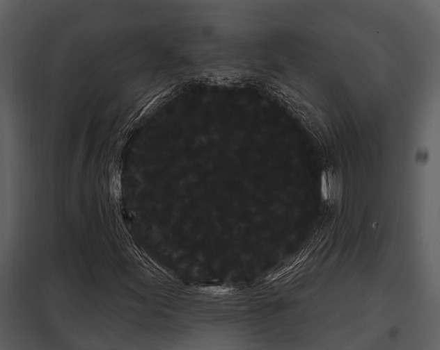 X0000097951155200804011628