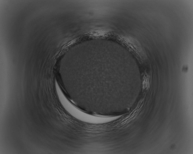 X0000097951156200804011628