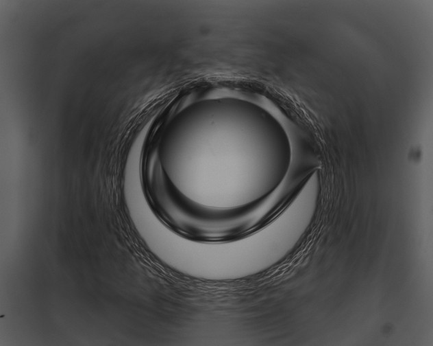 X0000097951157200804011628