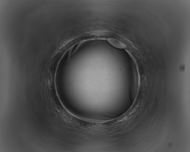 X0000097951158200804011628