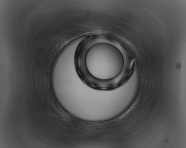 X0000097951161200804011628