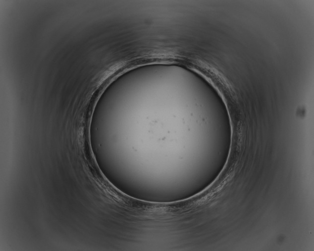 X0000097951162200804011628
