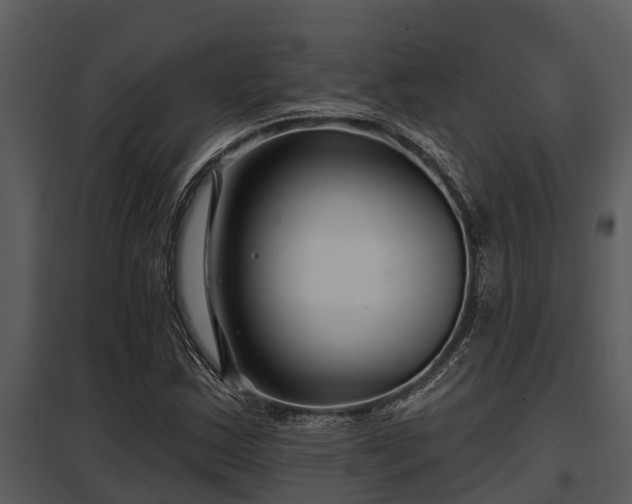 X0000097951163200804011628