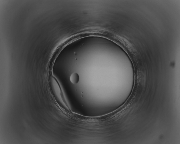 X0000097951164200804011628