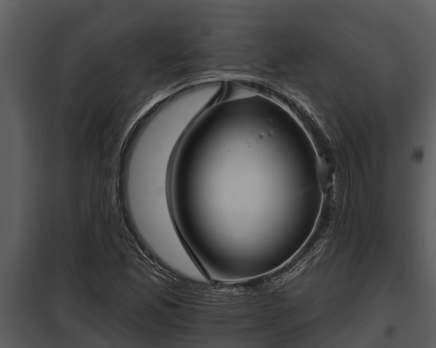X0000097951165200804011628