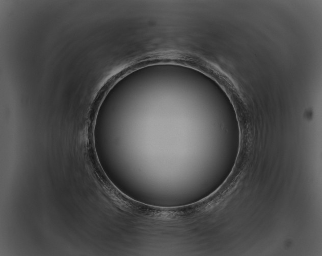 X0000097951166200804011628