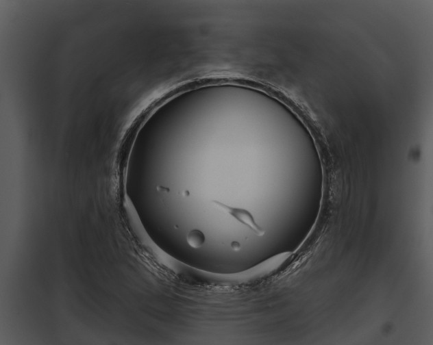 X0000097951167200804011628