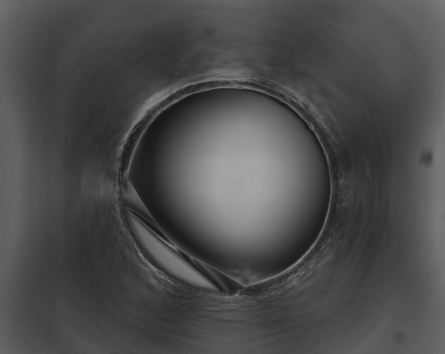 X0000097951168200804011628