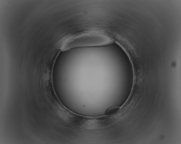 X0000097951169200804011628