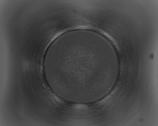 X0000097951170200804011628