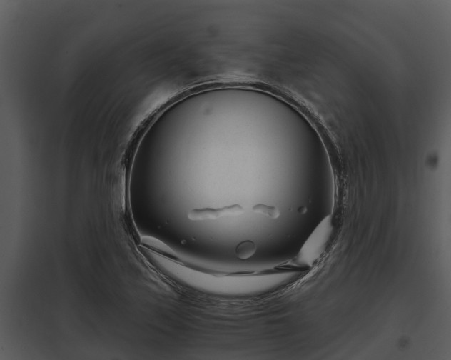 X0000097951171200804011628