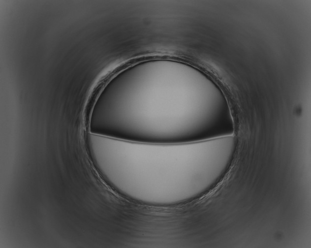 X0000097951172200804011628