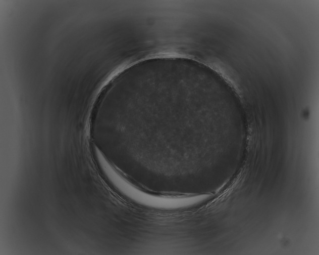 X0000097951173200804011628