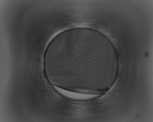 X0000097951174200804011628