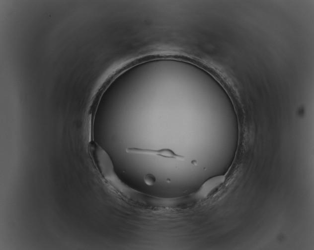 X0000097951175200804011628