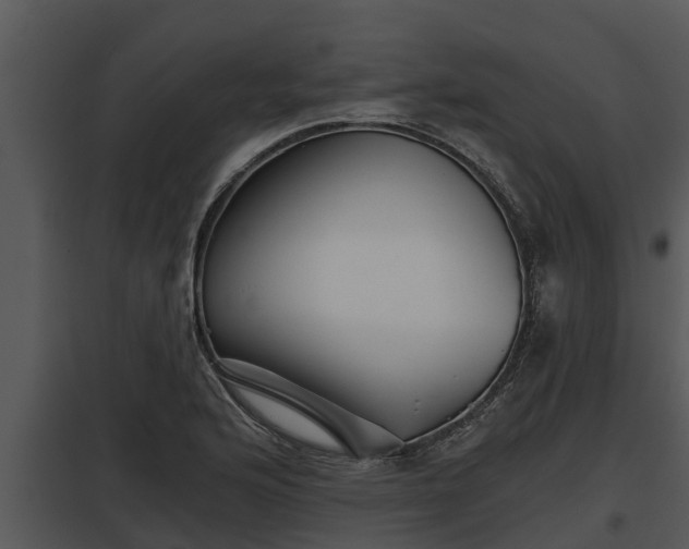 X0000097951176200804011627