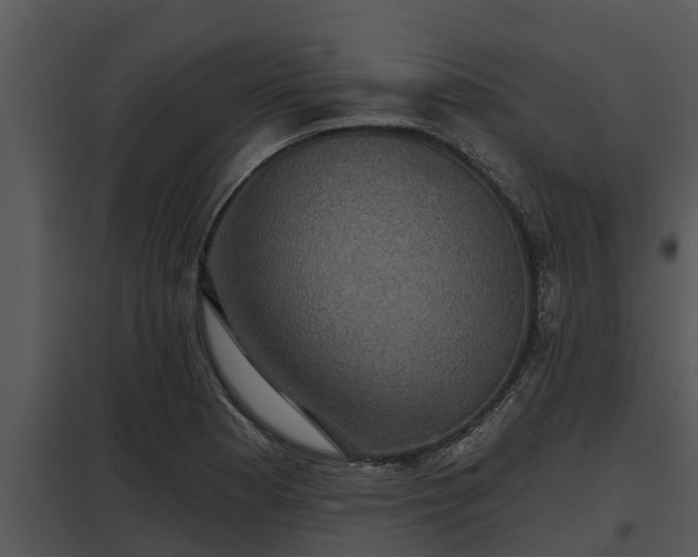 X0000097951177200804011627