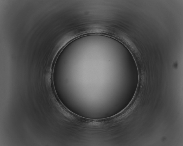 X0000097951178200804011627