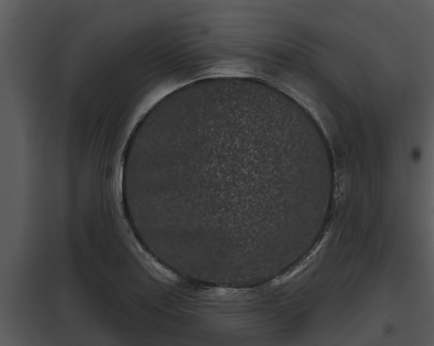 X0000097951179200804011627