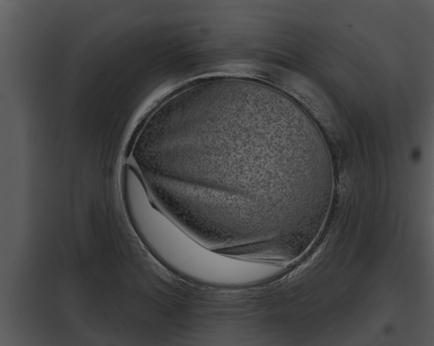X0000097951180200804011627