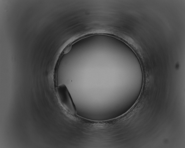 X0000097951181200804011627