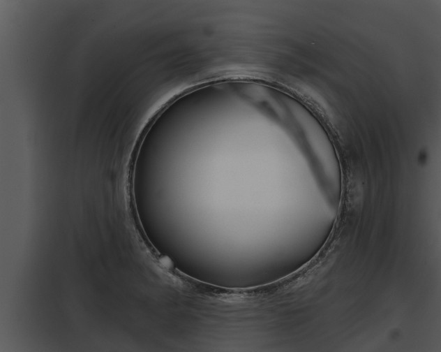 X0000097951182200804011627